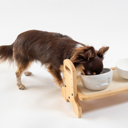 お世話コース|ペットシッター