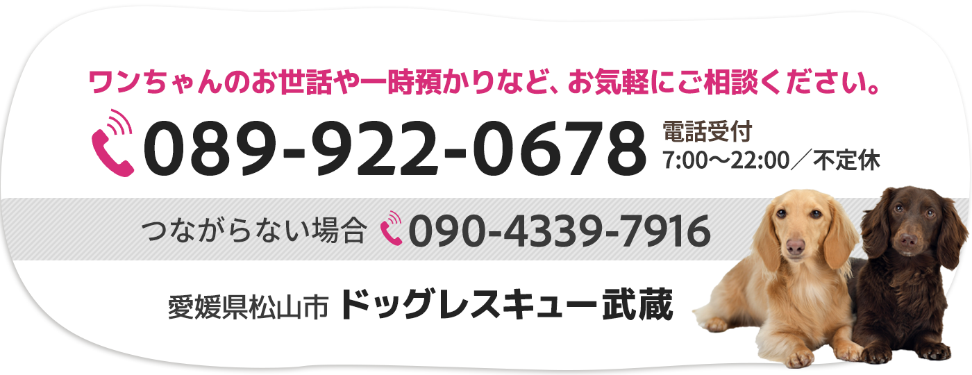 ドッグレスキュー武蔵：089-922-0678（7:00〜22:00）