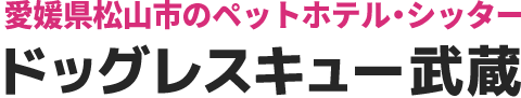 ドッグレスキュー武蔵｜愛媛県松山市