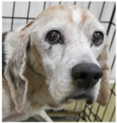 スクリーンショット 2025-10-16 073657