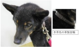 スクリーンショット 2025-11-09 151158