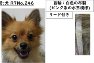 スクリーンショット 2025-11-12 150349