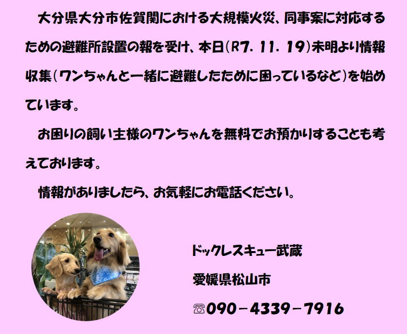 スクリーンショット 2025-11-19 075945