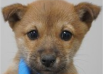 スクリーンショット 2025-11-21 210155