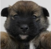 スクリーンショット 2025-11-28 064818