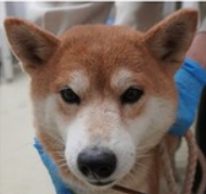 スクリーンショット 2025-12-15 211016