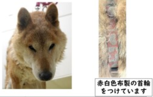 スクリーンショット 2026-01-09 174142