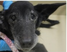 スクリーンショット 2026-02-02 190323