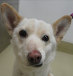 スクリーンショット 2026-02-17 195948