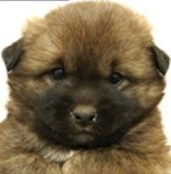 スクリーンショット 2026-02-26 200006