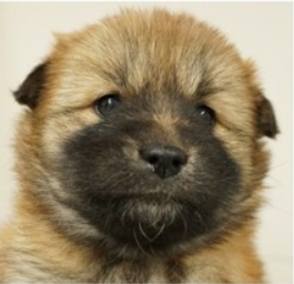 スクリーンショット 2026-03-11 214604