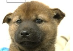 スクリーンショット 2026-03-23 195839