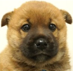 スクリーンショット 2026-03-24 213600