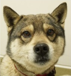 スクリーンショット 2026-03-31 183805