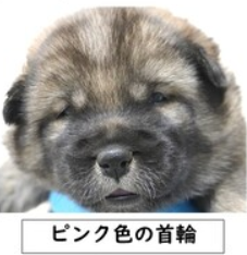 スクリーンショット 2026-04-30 073444